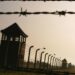 The Death Camps of America